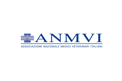 https://www.anmvioggi.it/